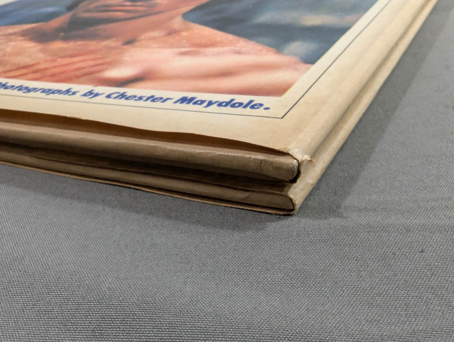 THE SECRET ART OF BRUCE LEE