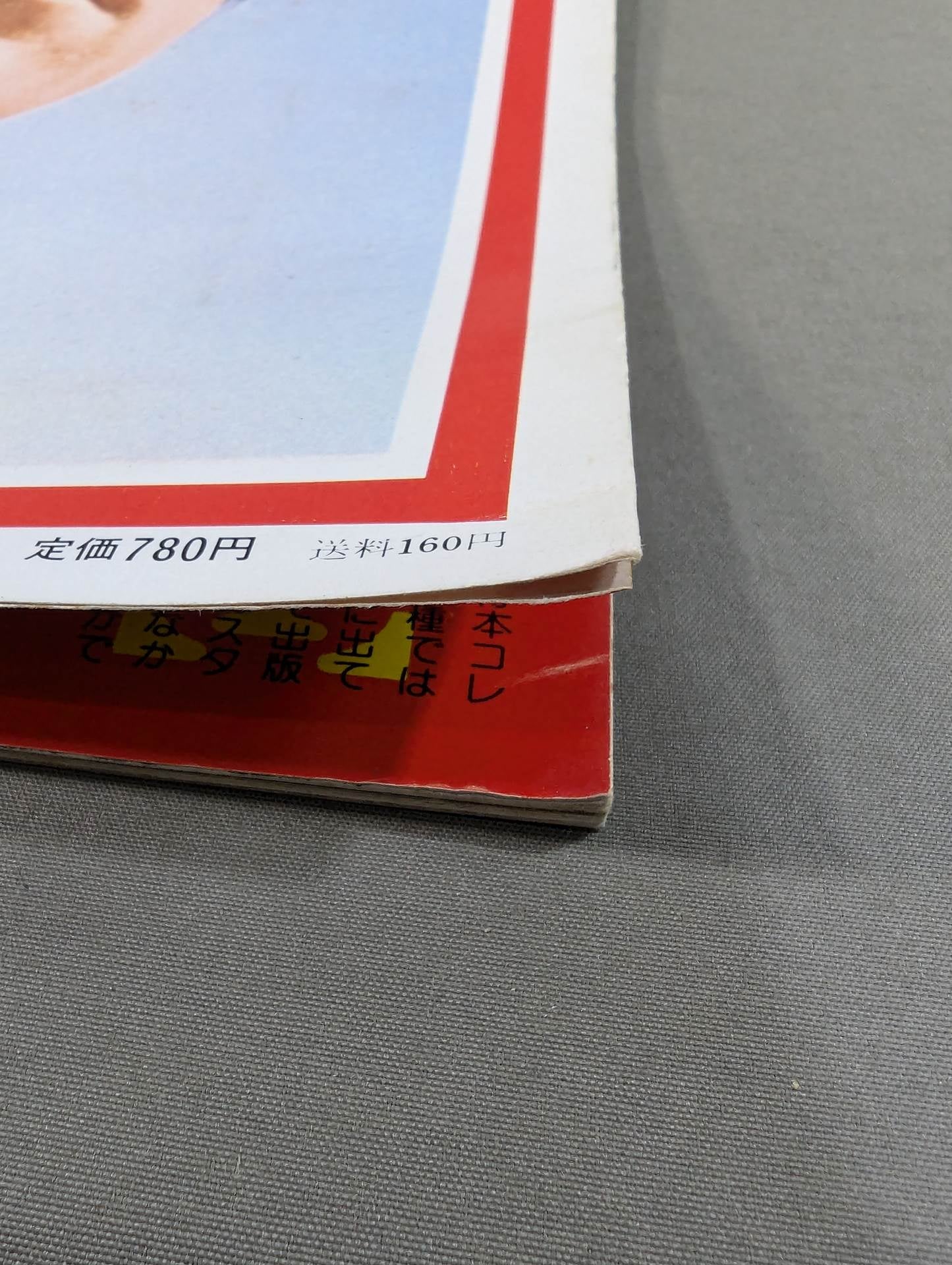 スクリーン特別増刊 ブルース・リー 死亡遊戯 ワイド特集号 – 闘道館