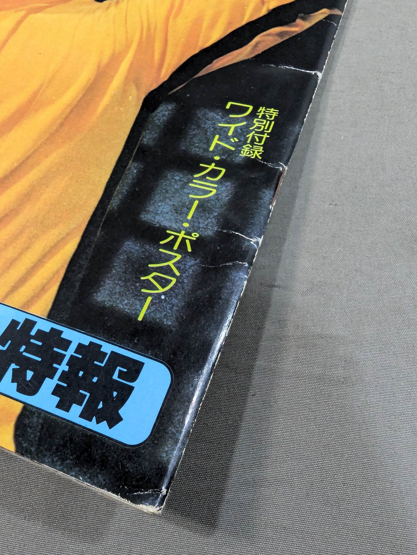 ブルース・リー　19冊セット スクリーン特別増刊 ブルース・リー 死亡遊戯 ワイド特集号 – 闘道館