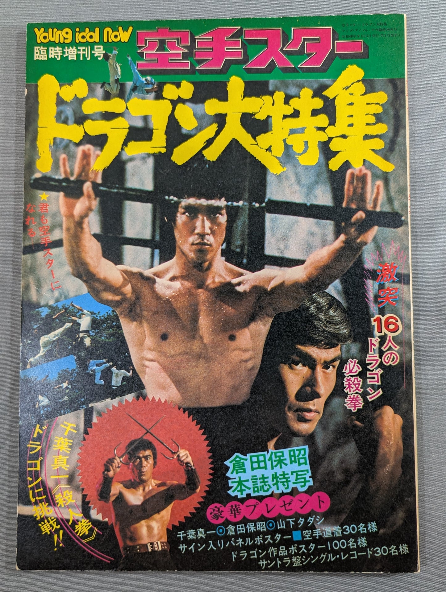 KARATE Star Dragon Special Feature
