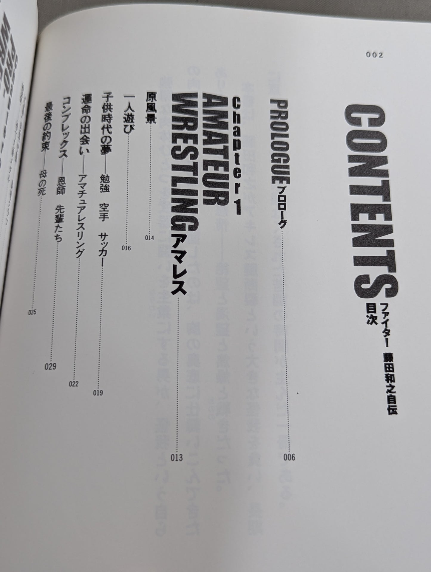 Fighter : Autobiography of Kazuyuki Fujita