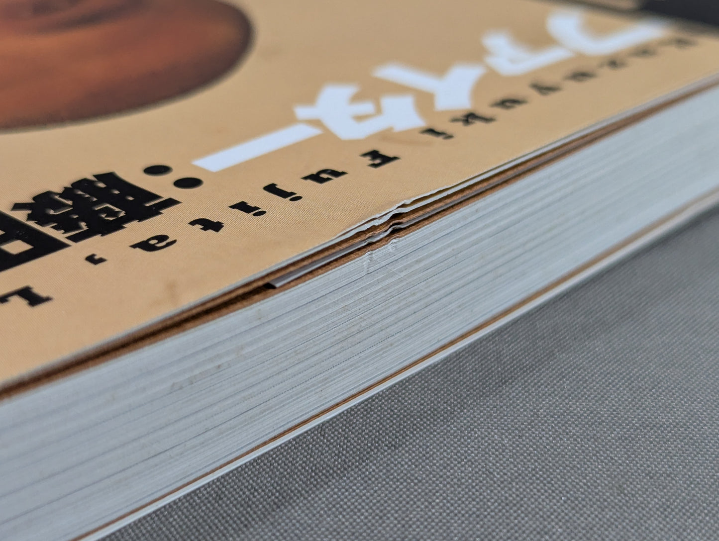 Fighter : Autobiography of Kazuyuki Fujita