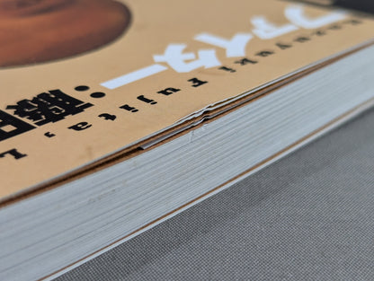 Fighter : Autobiography of Kazuyuki Fujita