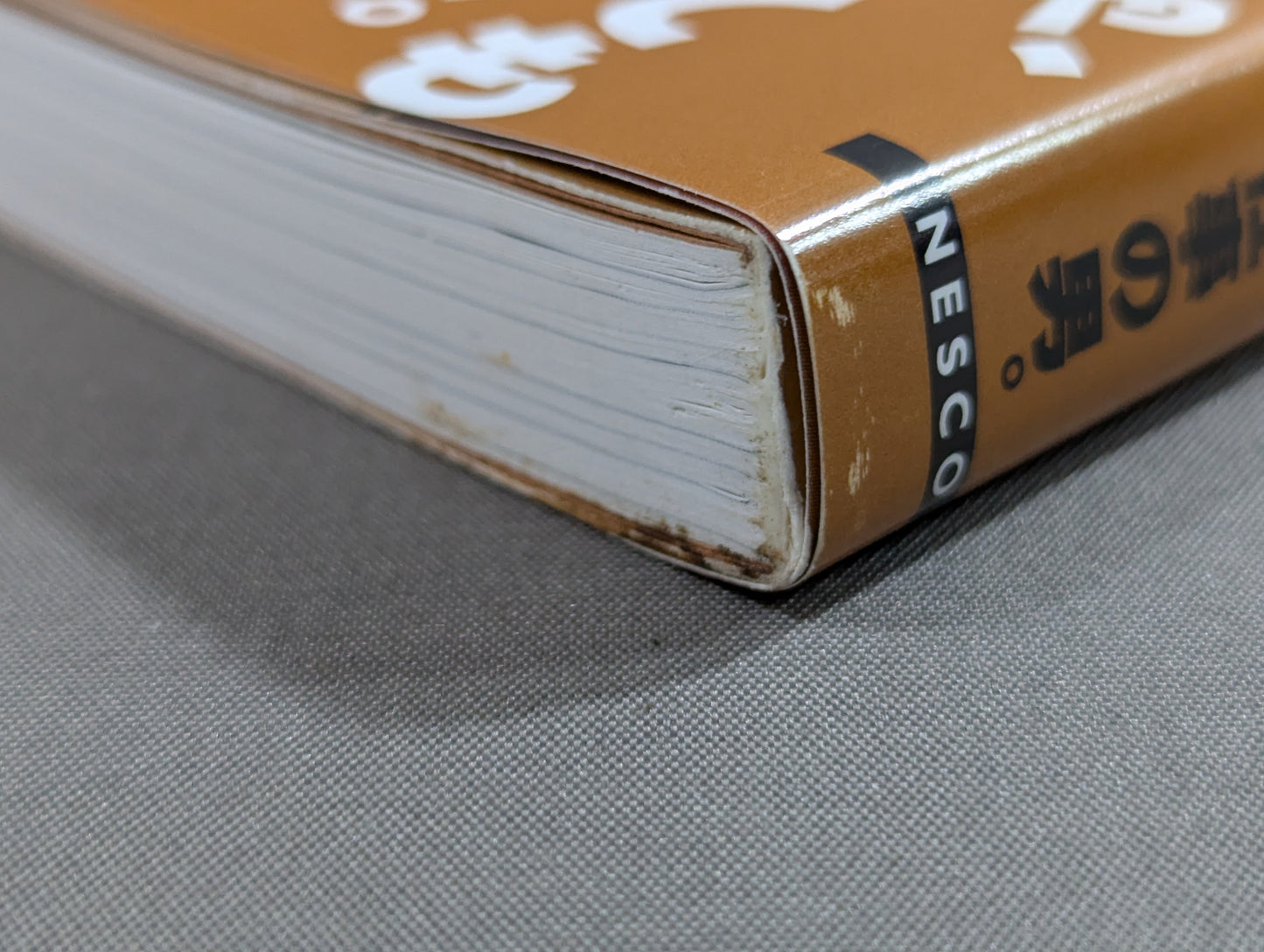 Fighter : Autobiography of Kazuyuki Fujita
