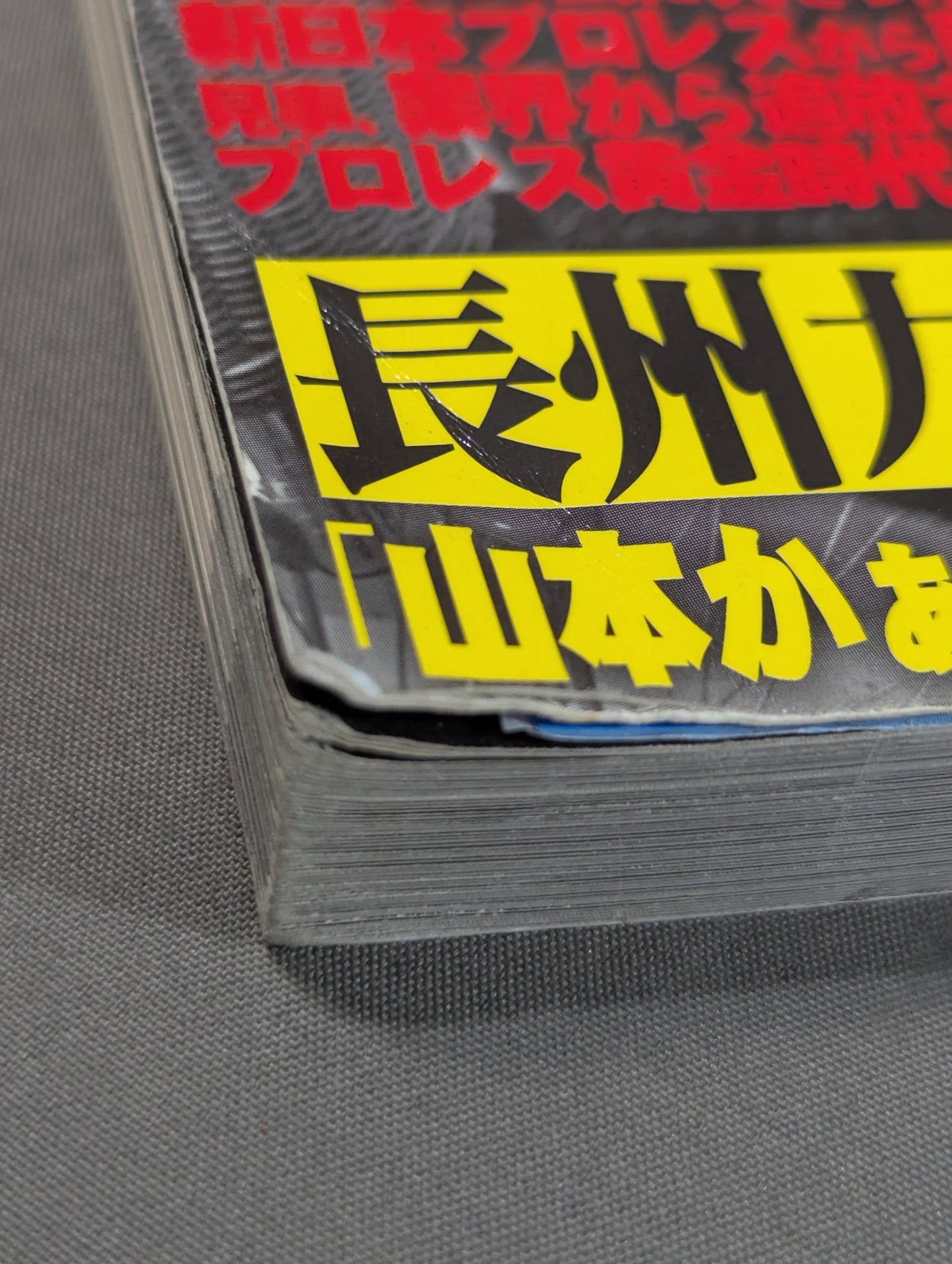 Former editor-in-chief of "Weekly Pro Wrestling " Tarzan Yamamoto! Printed Pro Wrestling Blood Wind Record!!