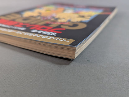 93ゴング プロレス観戦パーフェクトガイド