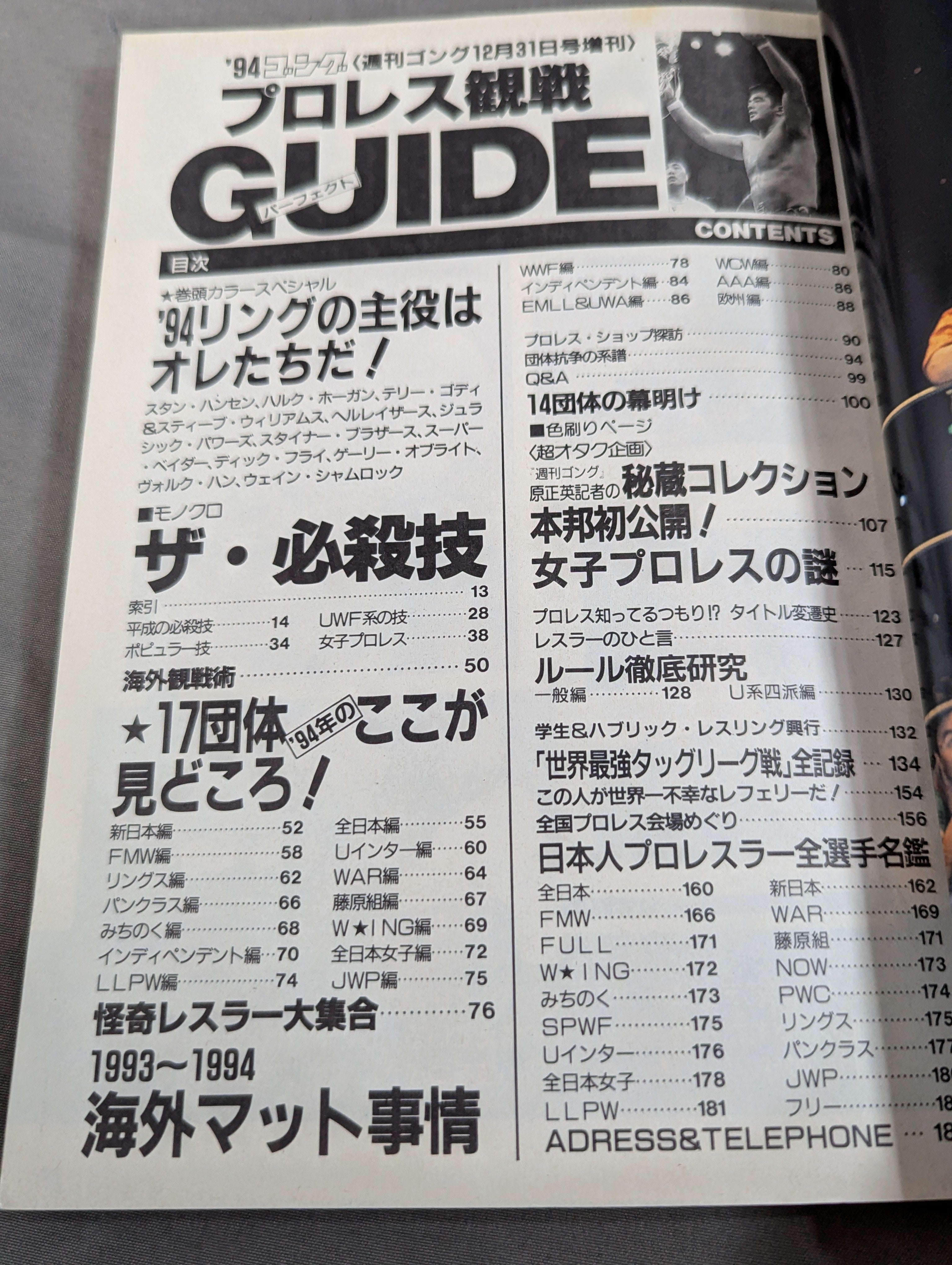 94ゴング プロレス観戦パーフェクトガイド – 闘道館