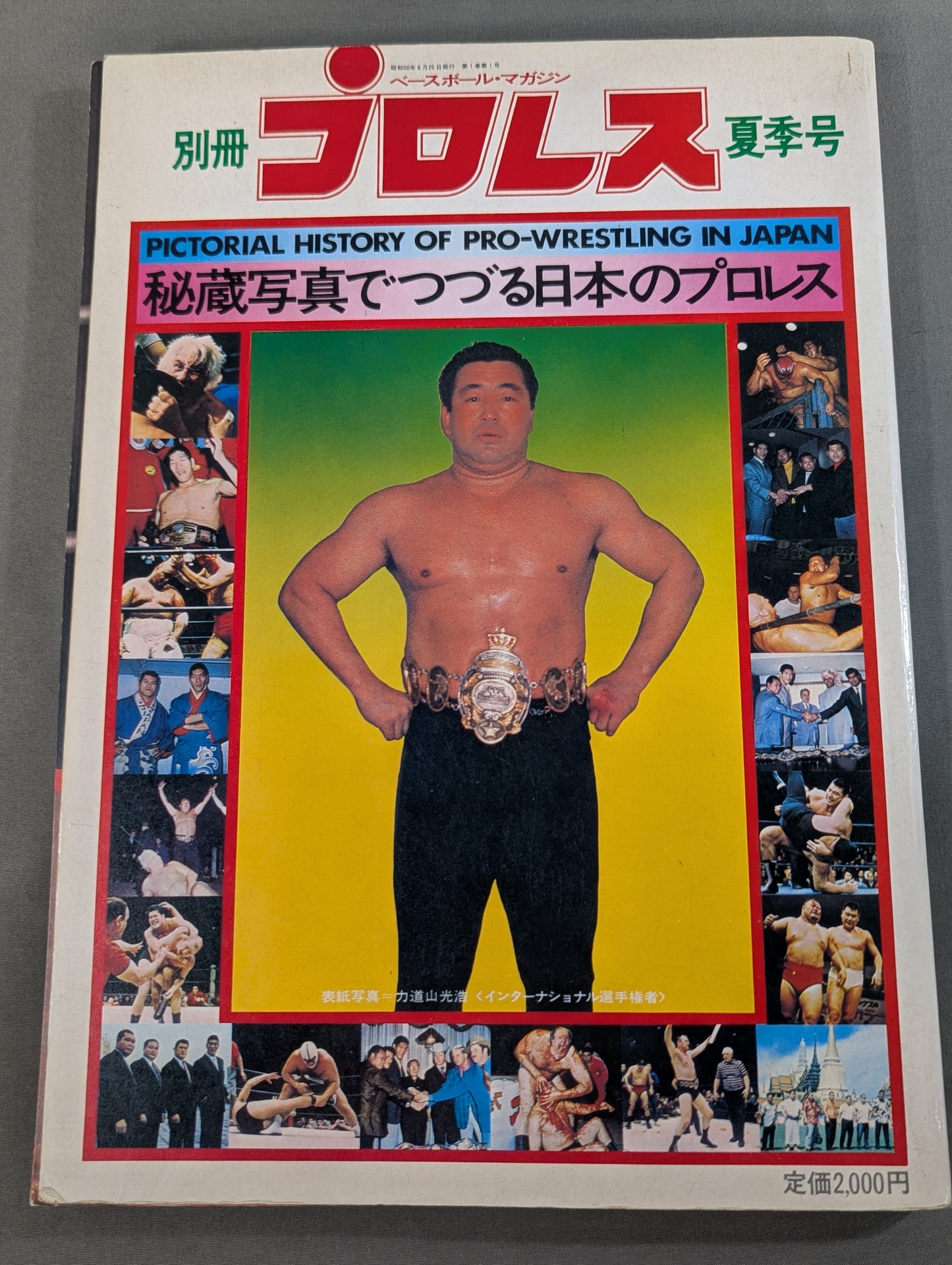 Separate volume Pro Wrestling  Summer Issue Treasured Photos of Japan Pro Wrestling 