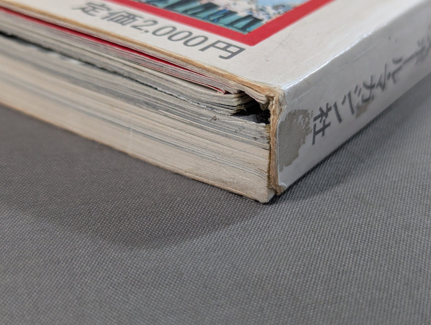 Separate volume Pro Wrestling  Summer Issue Treasured Photos of Japan Pro Wrestling 