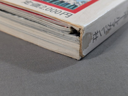 Separate volume Pro Wrestling  Summer Issue Treasured Photos of Japan Pro Wrestling 