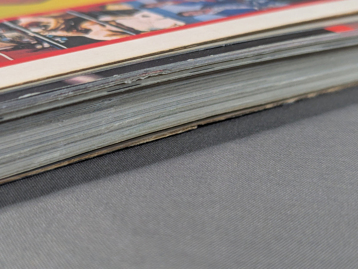 Separate volume Pro Wrestling  Summer Issue Treasured Photos of Japan Pro Wrestling 