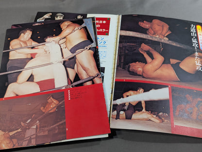 Separate volume Pro Wrestling  Summer Issue Treasured Photos of Japan Pro Wrestling 