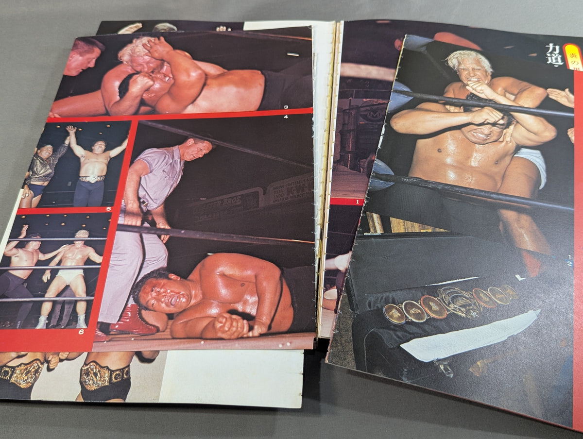 Separate volume Pro Wrestling  Summer Issue Treasured Photos of Japan Pro Wrestling 
