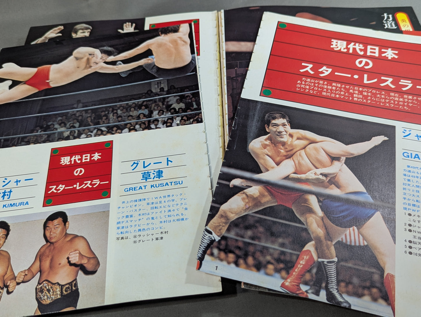 Separate volume Pro Wrestling  Summer Issue Treasured Photos of Japan Pro Wrestling 