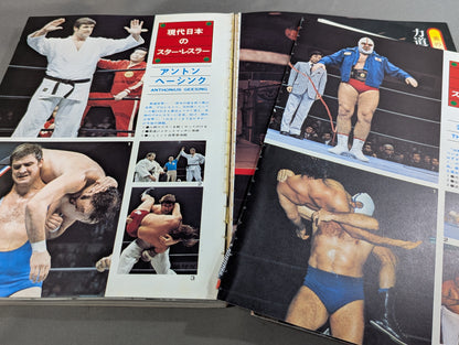 Separate volume Pro Wrestling  Summer Issue Treasured Photos of Japan Pro Wrestling 