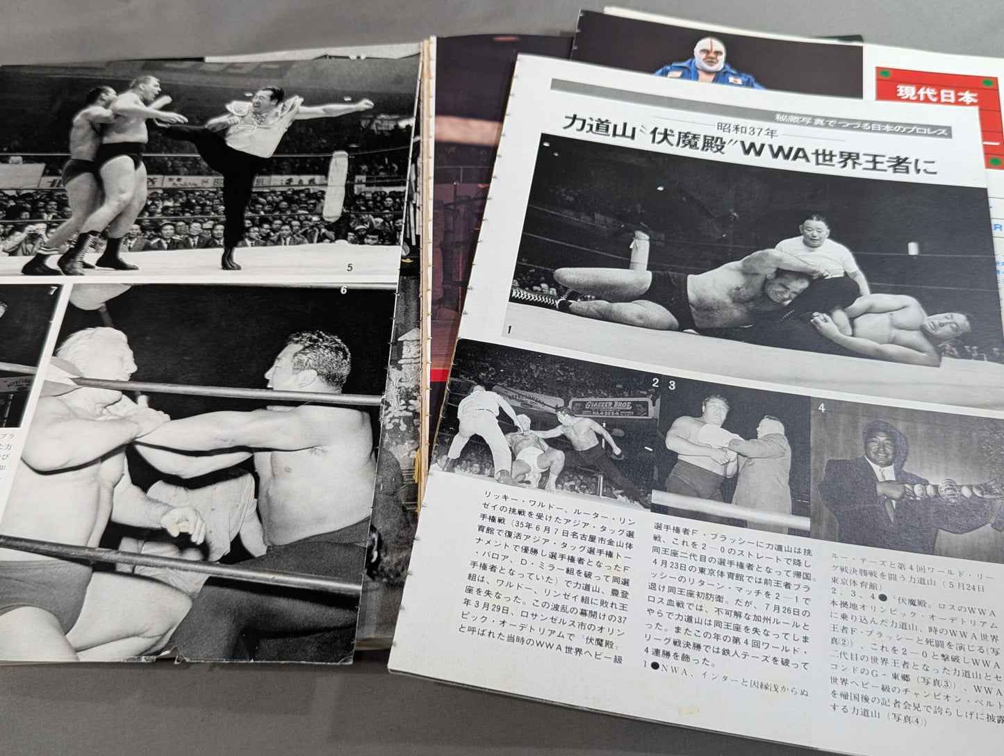 Separate volume Pro Wrestling  Summer Issue Treasured Photos of Japan Pro Wrestling 