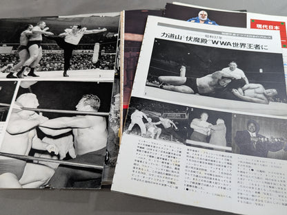 Separate volume Pro Wrestling  Summer Issue Treasured Photos of Japan Pro Wrestling 