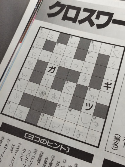 ファイト・スペシャル 虹色の戦士たち Part.8
