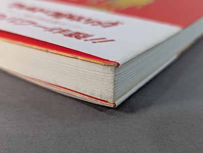 ケロのプロレス千夜一夜 新日本プロレス旅日記・特別付録 ＜海外編＞