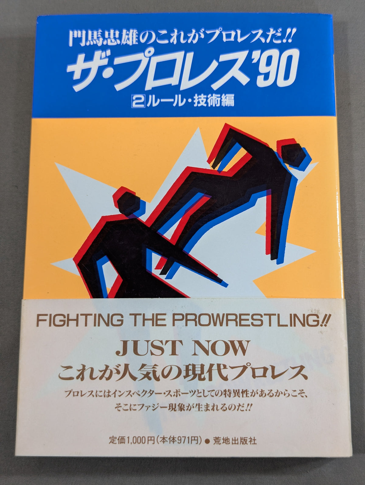 The Pro Wrestling '90 (2) Rules & Techniques