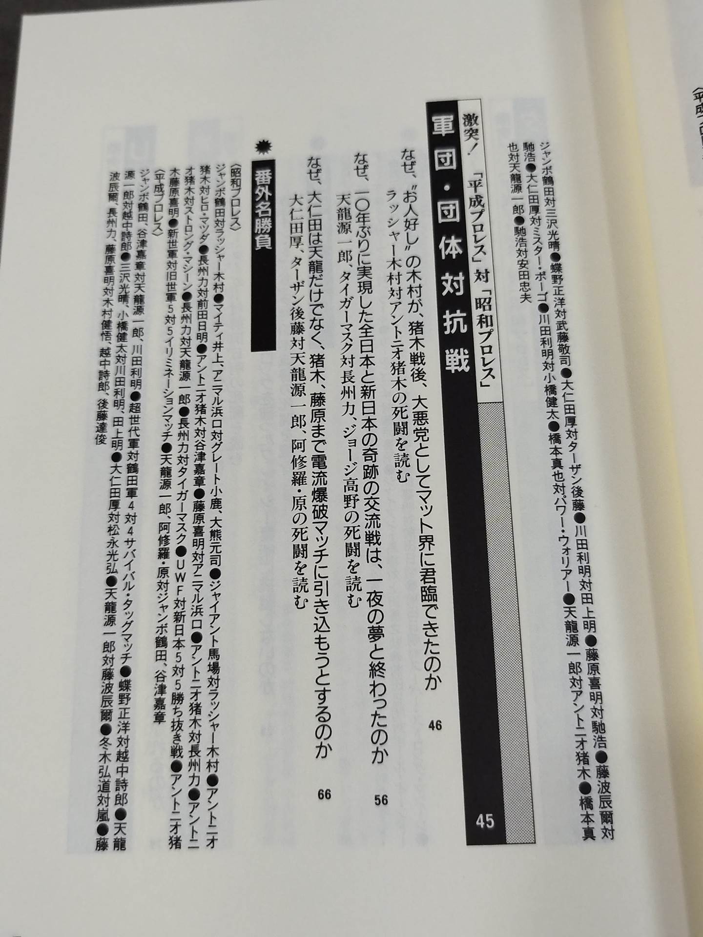 ポケットブック65 プロレス死闘名勝負226選の読み方