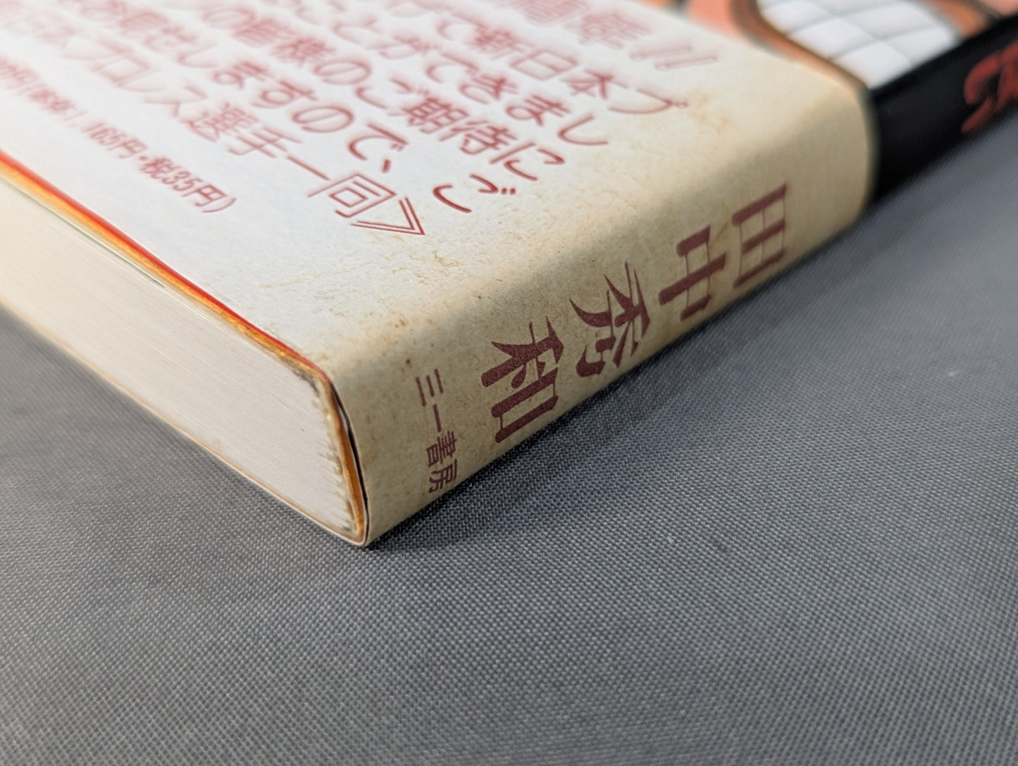 Outside the ring is full of dangers Kero's New Japan Pro Wrestling travel diary