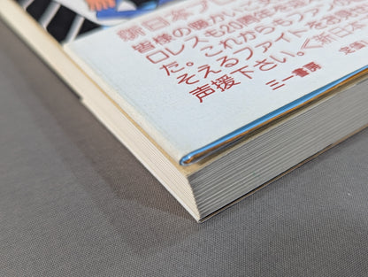 Outside the ring is full of dangers Kero's New Japan Pro Wrestling travel diary