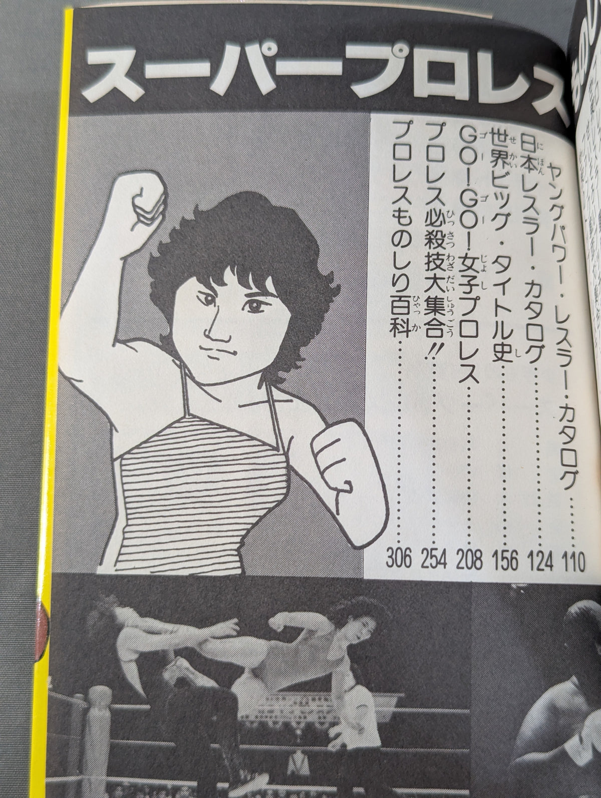 少年ものしり百科 スーパー プロレスものしり大博士