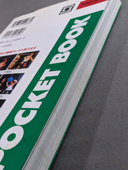 ポケットブック83 平成プロレス30団体の見方・読み方