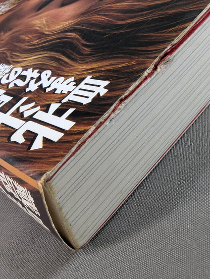 血まみれの戴冠 北斗晶自叙伝