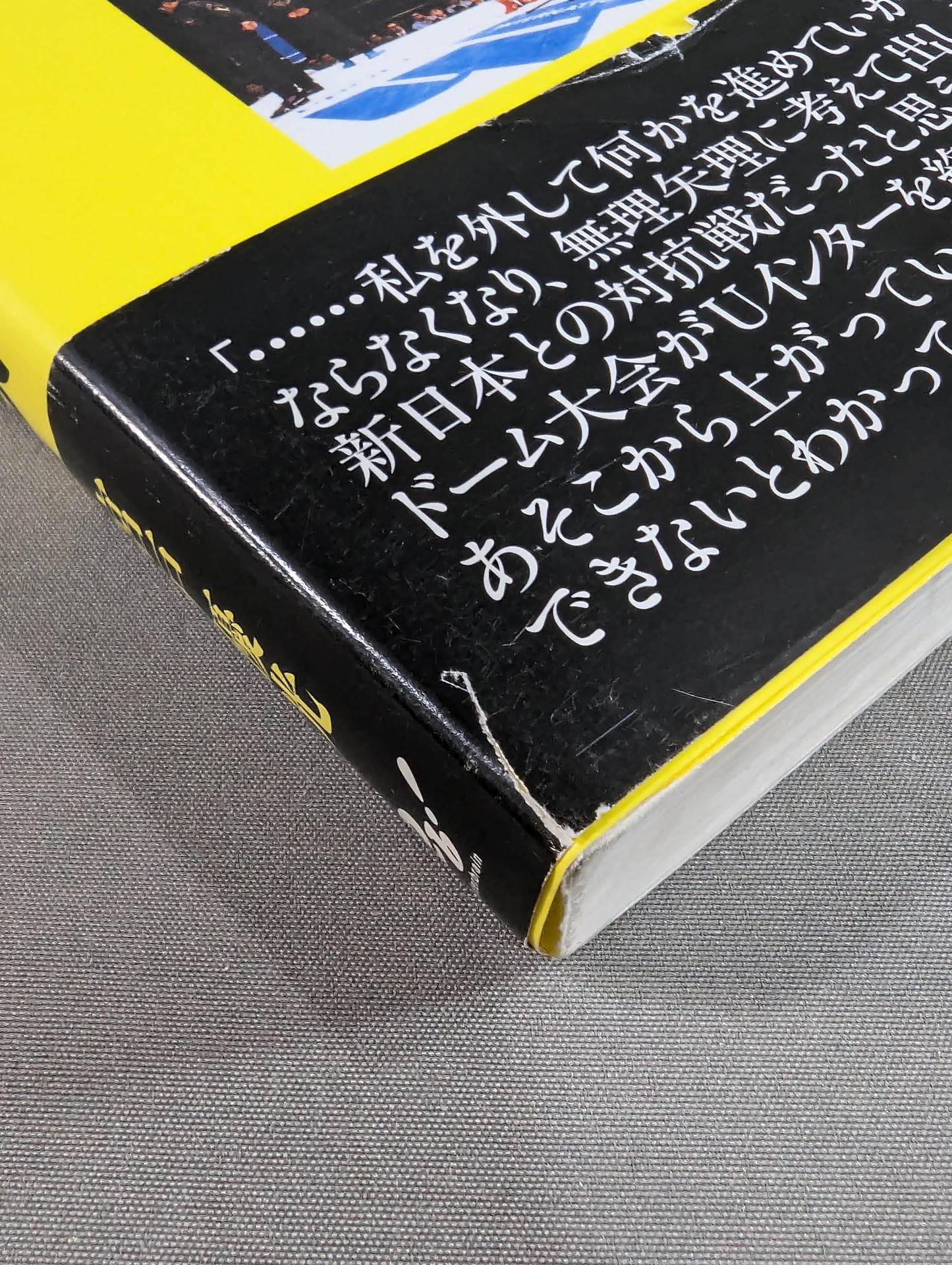 U.W.F 最強の真実