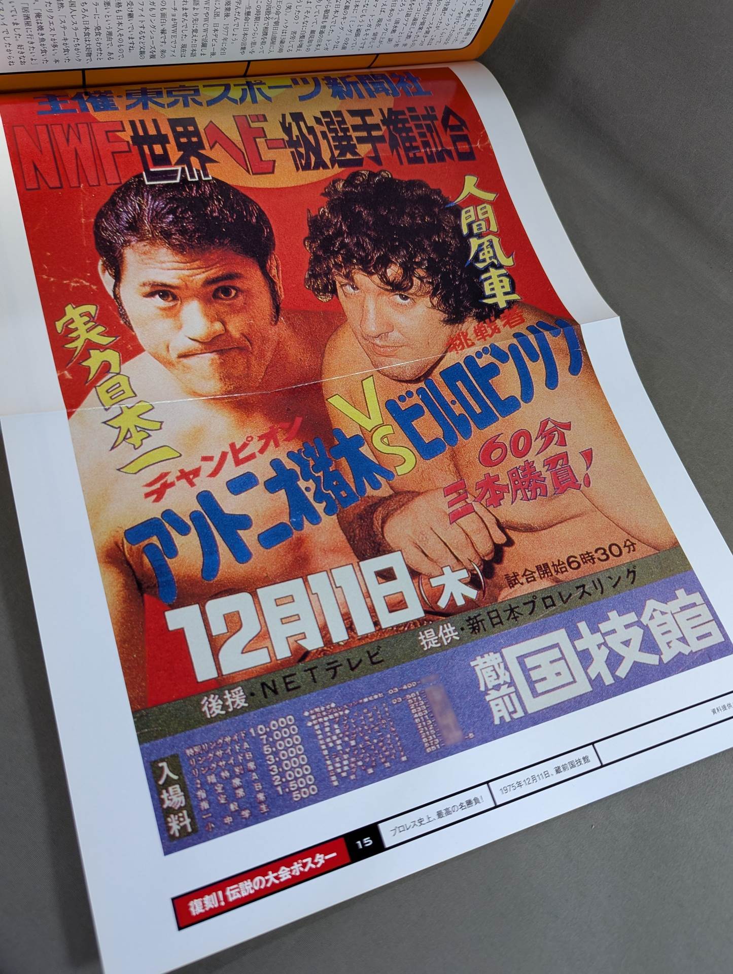 燃えろ!新日本プロレス vol.15