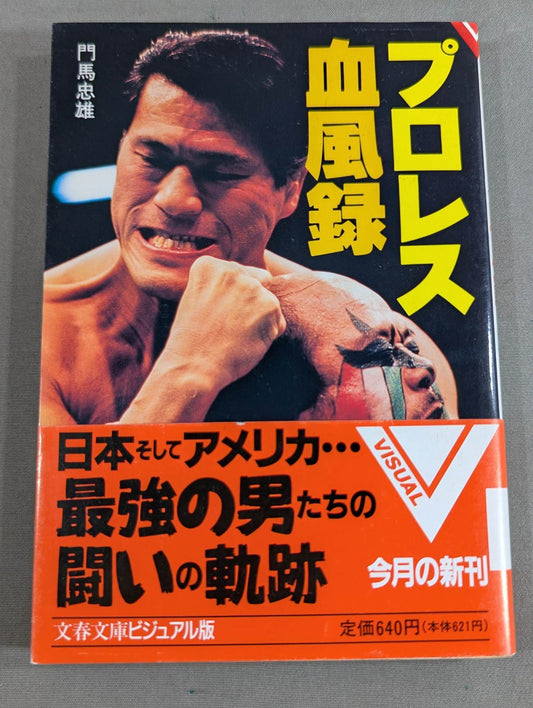 Pro Wrestling