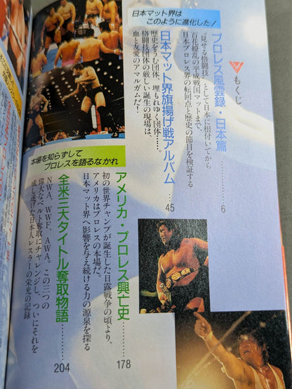 Pro Wrestling