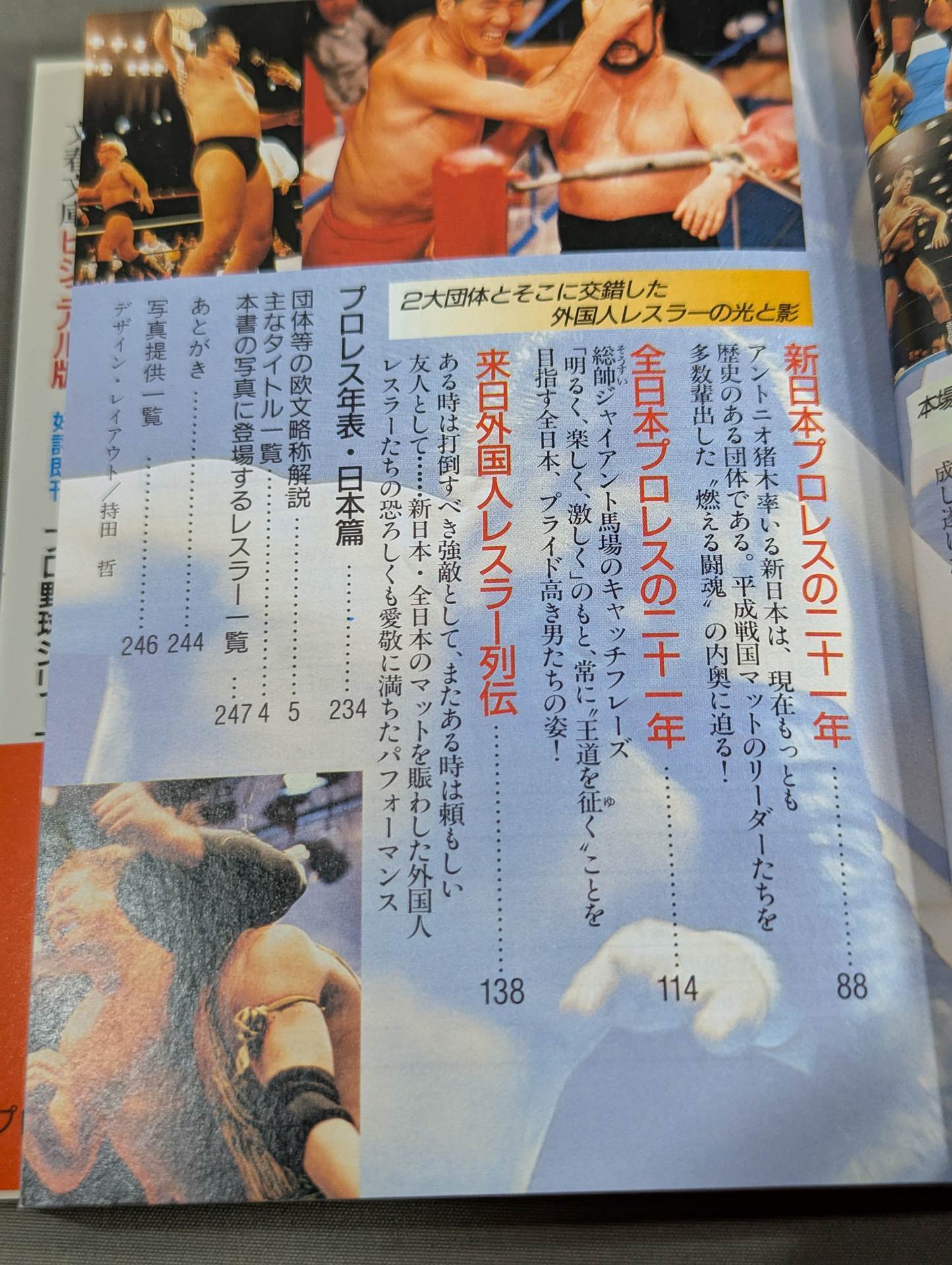 Pro Wrestling