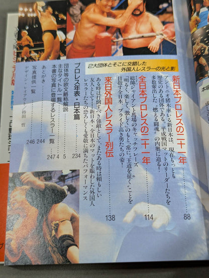 Pro Wrestling