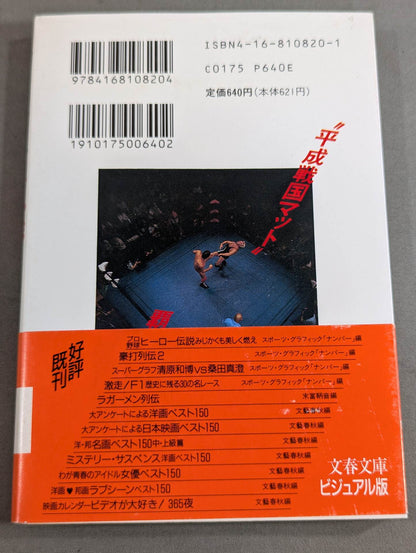 Pro Wrestling