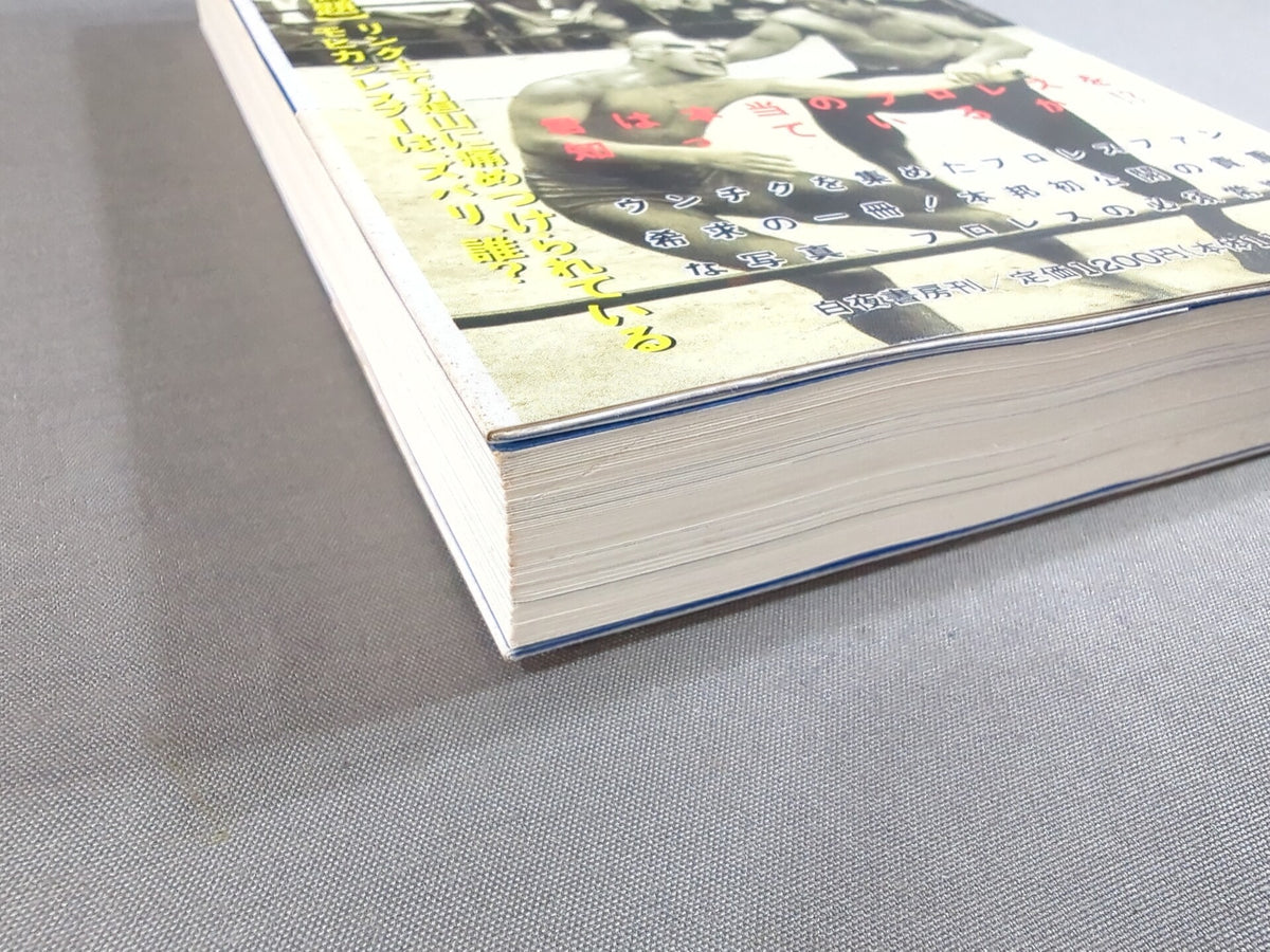 A book that tells you about Pro Wrestling so much that you can understand it frighteningly