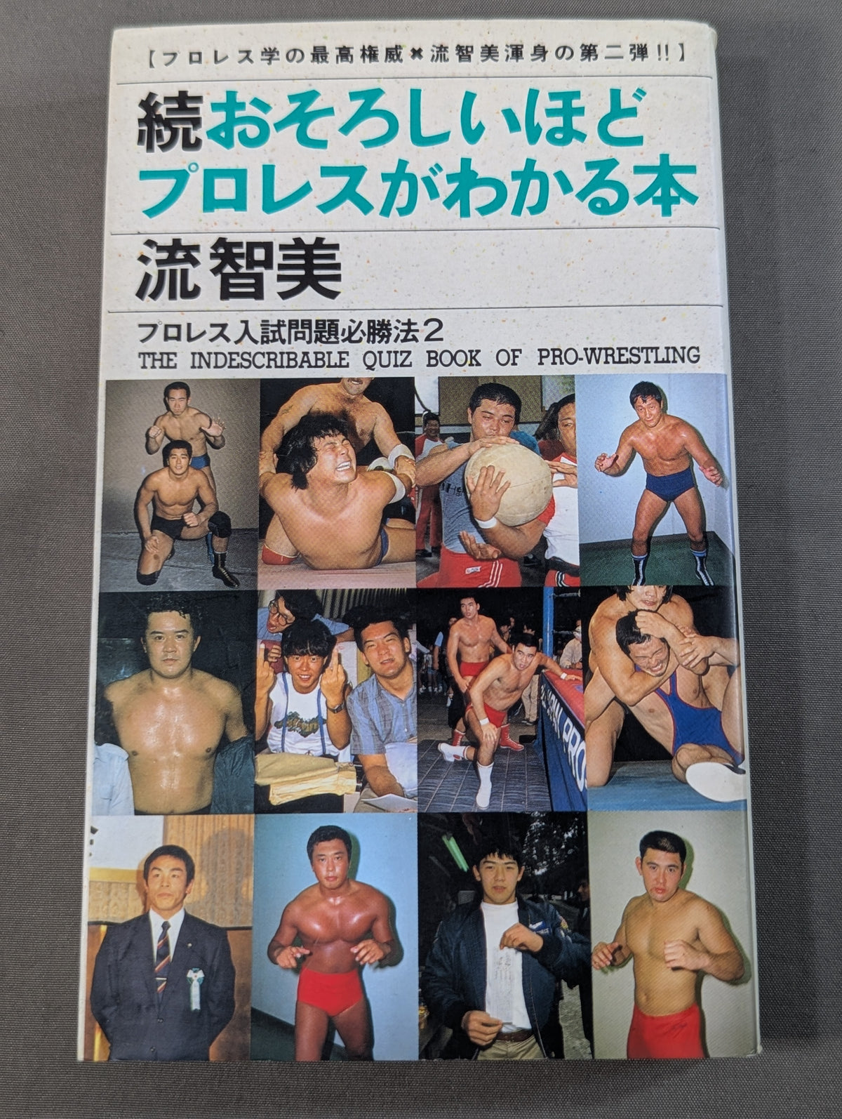 続 おそろしいほどプロレスがわかる本