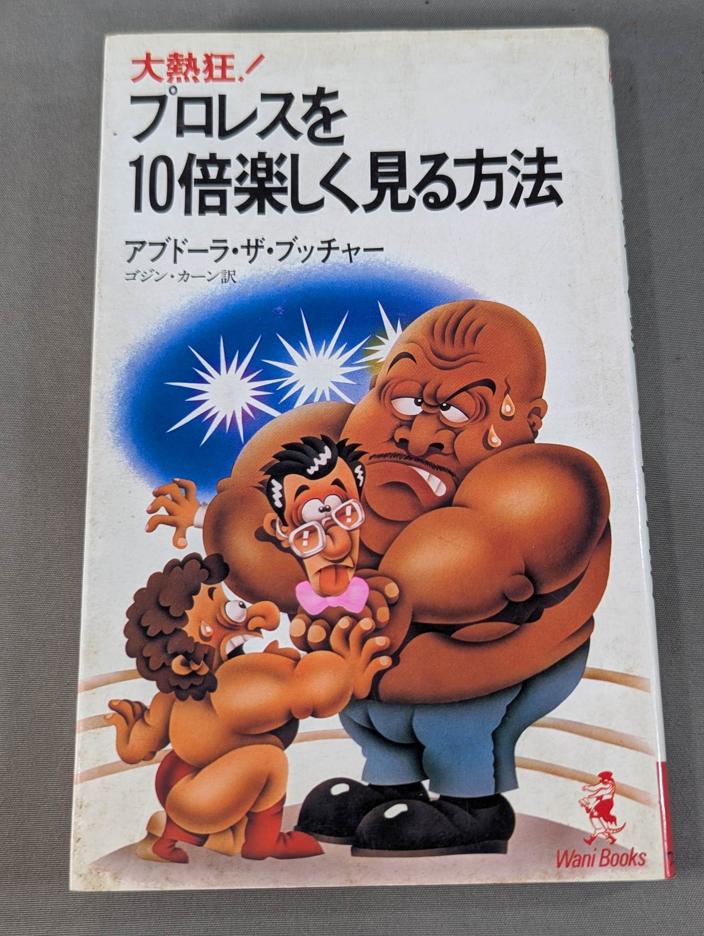 プロレスを10倍楽しく見る方法