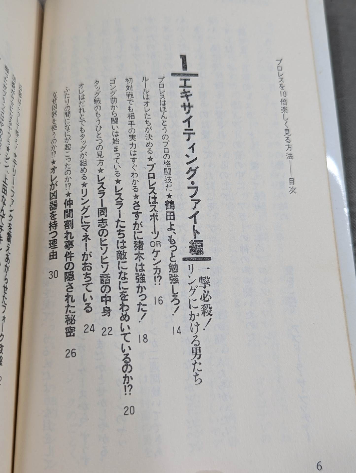 プロレスを10倍楽しく見る方法