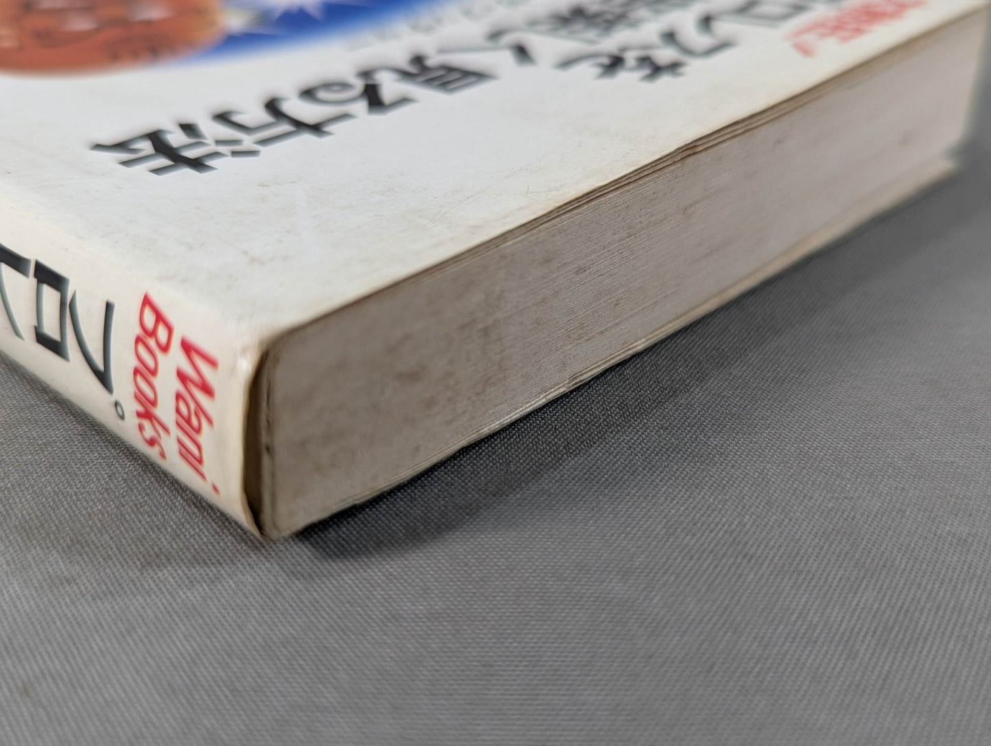 プロレスを10倍楽しく見る方法