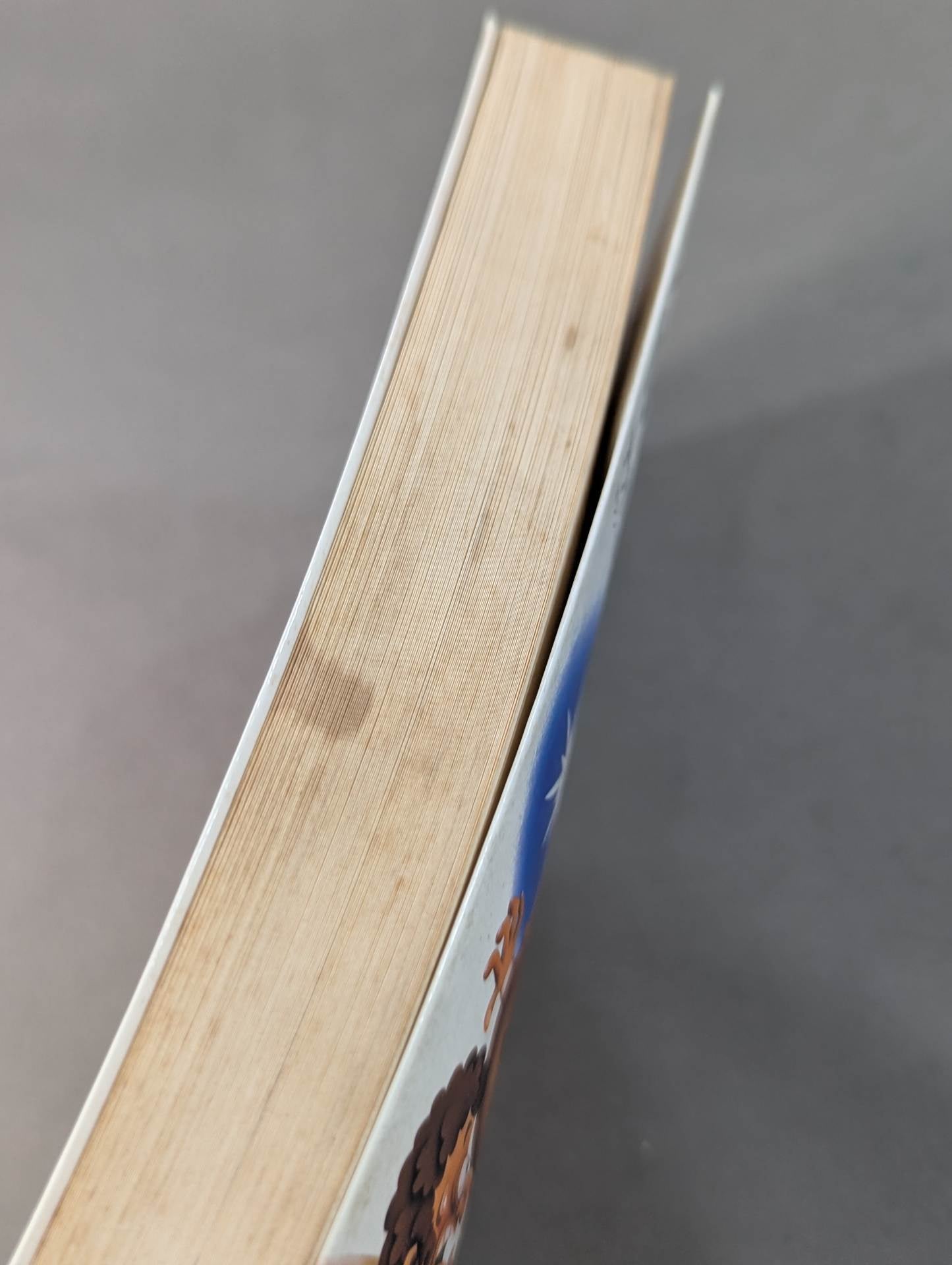 プロレスを10倍楽しく見る方法