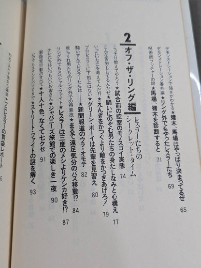 プロレスを10倍楽しく見る方法