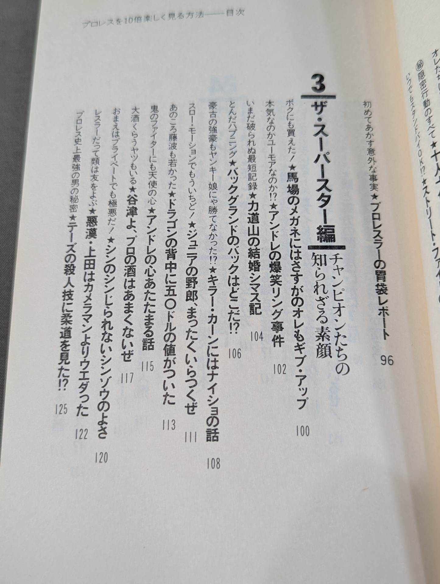 プロレスを10倍楽しく見る方法