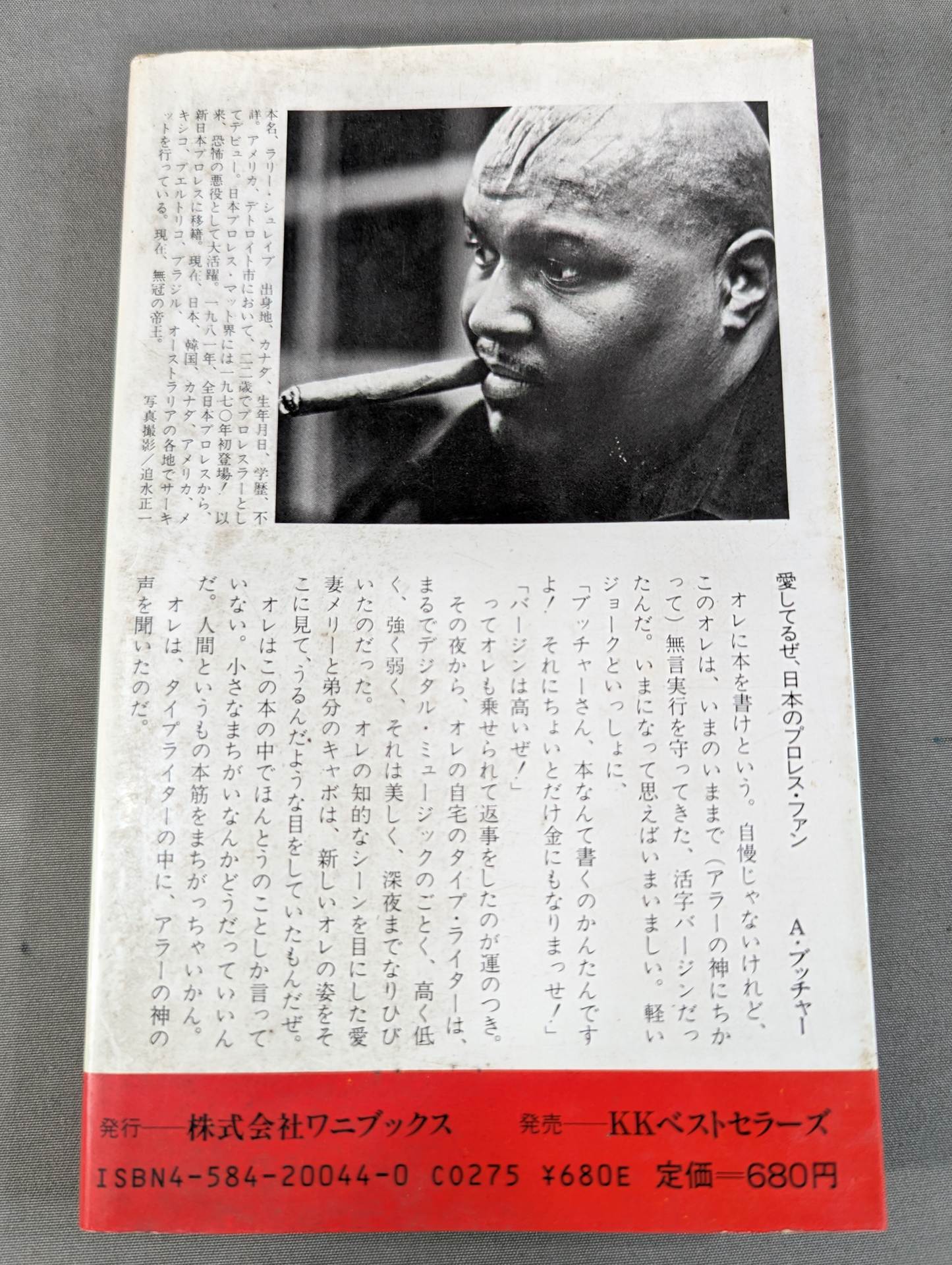 プロレスを10倍楽しく見る方法