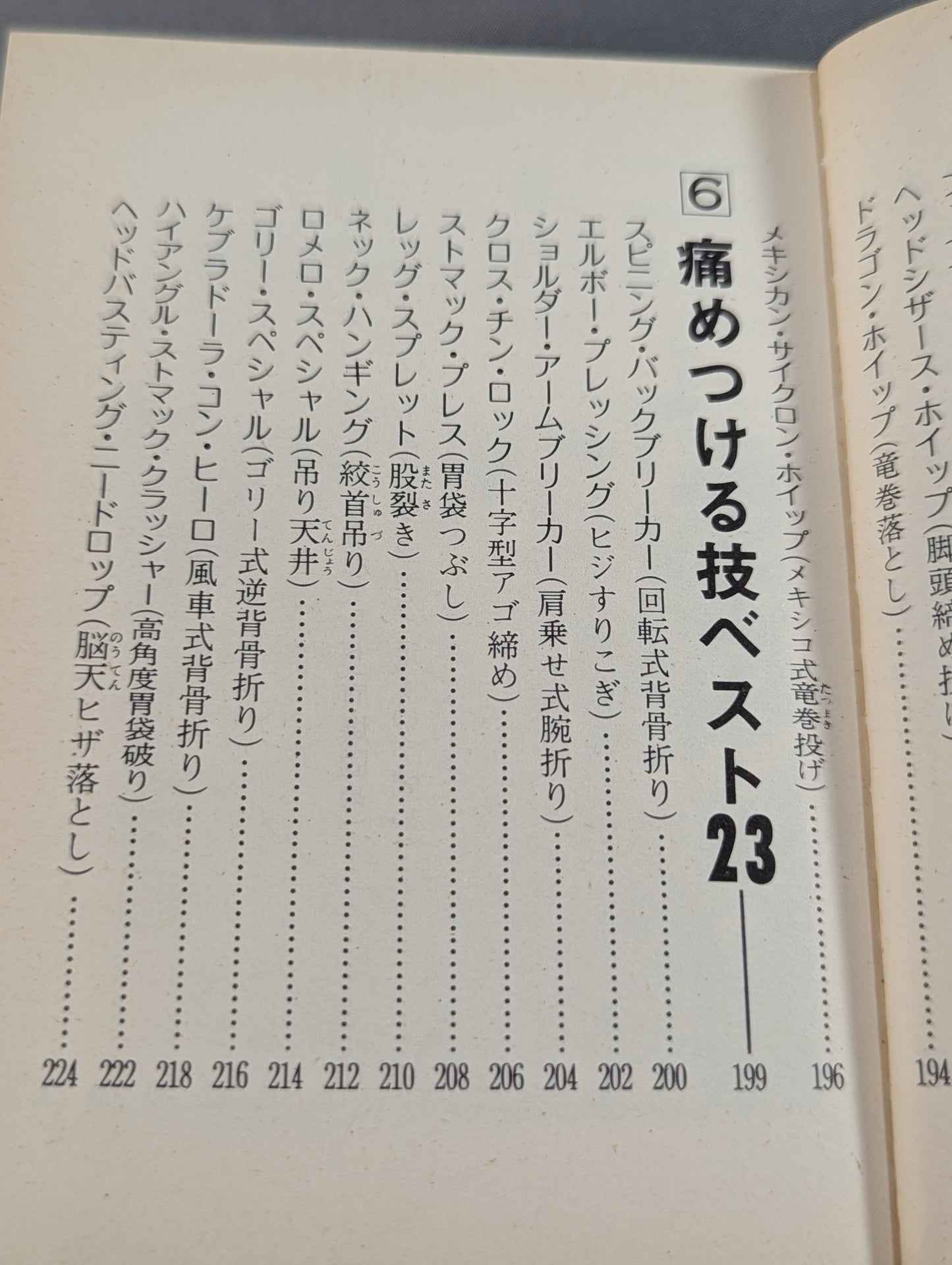 Bean Tanuki Book 174 Pro Wrestling  New Special Move BEST100