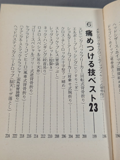 Bean Tanuki Book 174 Pro Wrestling  New Special Move BEST100