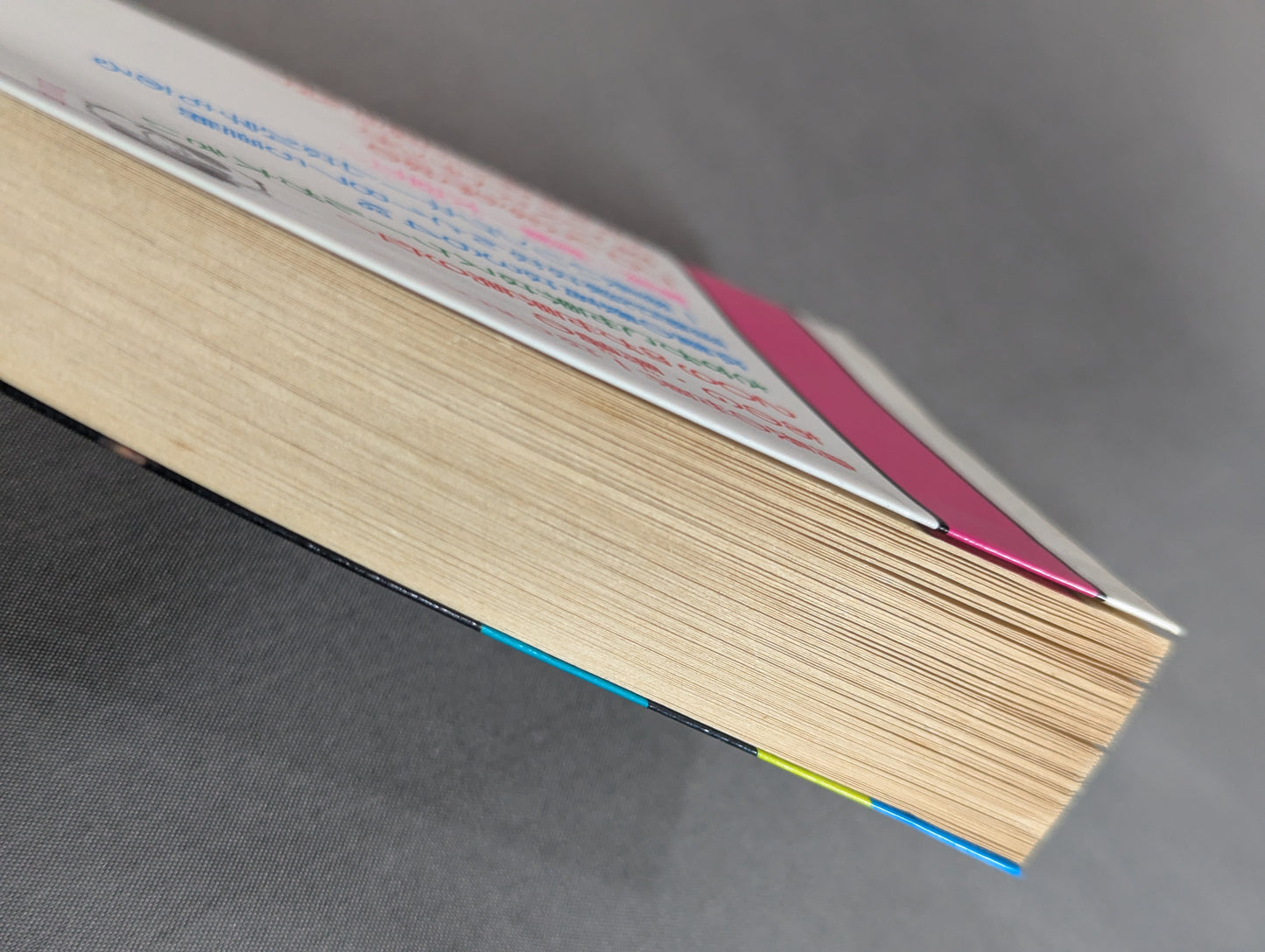 Mame Tanuki Book 194 Latest Edition Pro Wrestling  Anything Best Ten