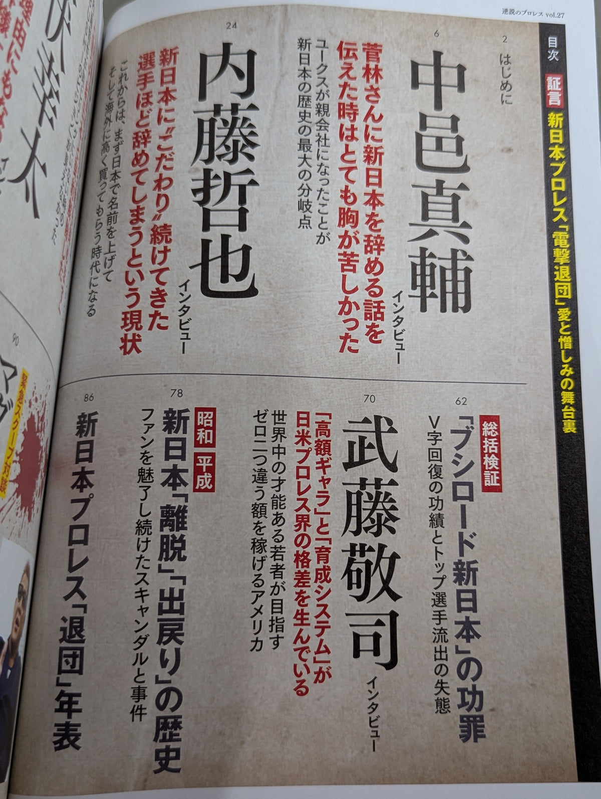 Series: Paradoxical Pro Wrestling Vol.27 Testimony New Japan Pro Wrestling "Shocking Resignation": Behind the Scenes of Love and Hate